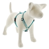 Lupine 3/4" Mama Llama 20-32" Roman Harness