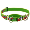 Retired Lupine 1" Parrots 19-27" Martingale Training Collar