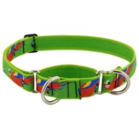 Retired Lupine 1" Parrots 19-27" Martingale Training Collar