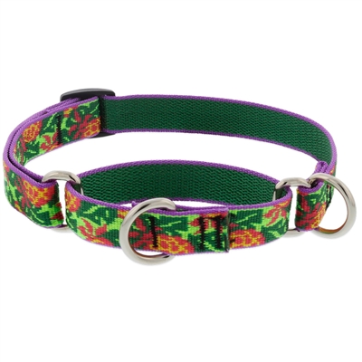 Retired Lupine 3/4" Pina Colada 10-14" Martingale Training Collar