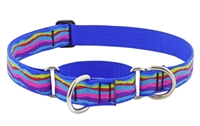 Lupine 1" Ripple Creek 15-22" Martingale Training Collar