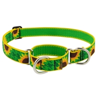 Lupine 1" Sunflowers 19-27" Martingale Training Collar