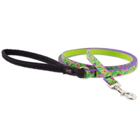 Retired Lupine 1/2" Spring Meadow 4' Padded Handle Leash