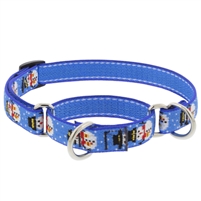 Retired Lupine 3/4" Snowville 14-20" Martingale Training Collar