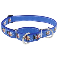 Retired Lupine 1" Snowville 15-22" Martingale Training Collar