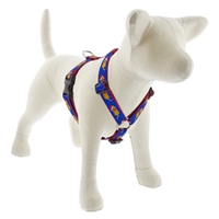Lupine 1" Snow Pup 20-32" Roman Harness
