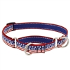 Retired Lupine 3/4" Stars N Stripes 10-14" Martingale Training Collar