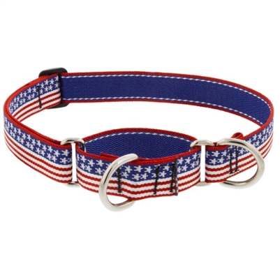 Lupine 1" Stars N Stripes 15-22" Martingale Training Collar