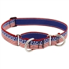 Lupine 1" Stars N Stripes 19-27" Martingale Training Collar