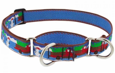 Retired Lupine 1" Special Delivery 15-22" Martingale Training Collar