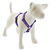 Lupine 1" Super Star 24-38" Roman Harness