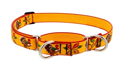 Lupine 1" Turkey Trot 15-22" Martingale Training Collar