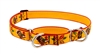 Lupine 1" Turkey Trot 19-27" Martingale Training Collar