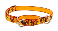 Lupine 1" Turkey Trot 19-27" Martingale Training Collar