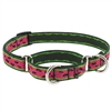 Lupine 3/4" Watermelon 10-14" Martingale Training Collar