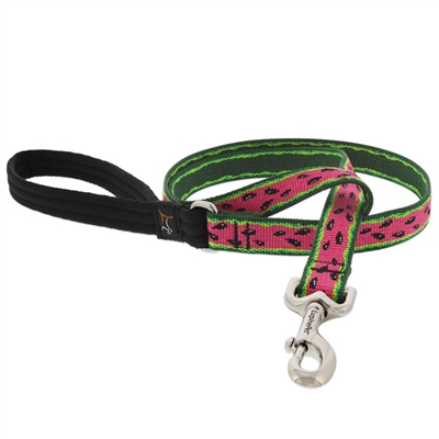 Retired Lupine 3/4" Watermelon 6' Padded Handle Leash