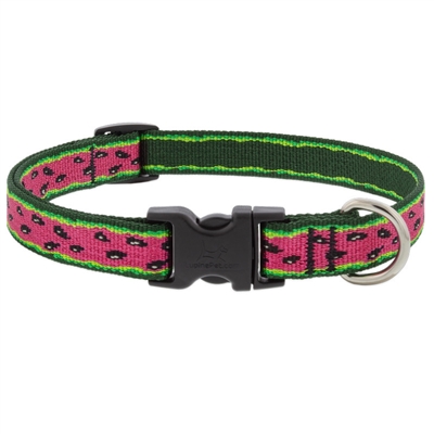 Retired Lupine 3/4" Watermelon 9-14" Adjustable Collar