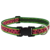 Lupine 1" Watermelon 12-20" Adjustable Collar