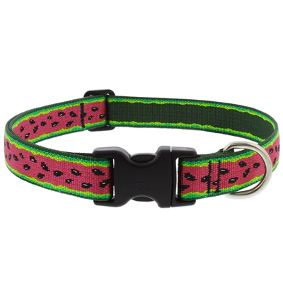 Lupine 1" Watermelon 12-20" Adjustable Collar