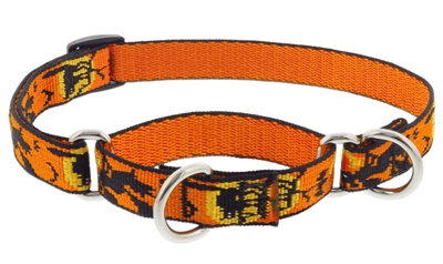 Retired Lupine 3/4" Wicked 10-14" Martingale Training Collar