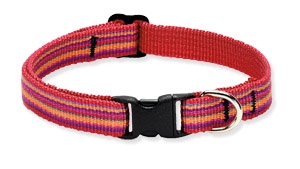 Retired Lupine 1/2" Sunset Stripe Cat Safety Collar