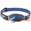 Lupine 1" Special Delivery Martingale Training Collar