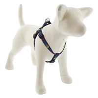 Lupine 3/4" Cape Dog Step-in Harness