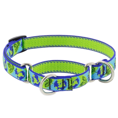 Lupine 3/4" Earth Day Martingale Training Collar