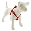 Lupine 1" Lucky Dragon Step-in Harness