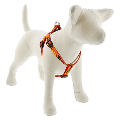 Lupine 3/4" Lucky Dragon Step-in Harness