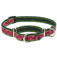 Lupine 3/4" Watermelon Martingale Training Collar