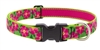 Lupine 1" Petunias 12-20" Adjustable Collar