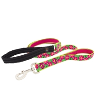 Lupine 1" Petunias 6' Double Handle Dog Leash