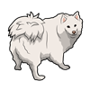 American Eskimo Sticker