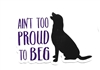 Ain't too Proud to Beg Sticker