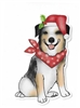 Australian Shepherd Christmas Sticker