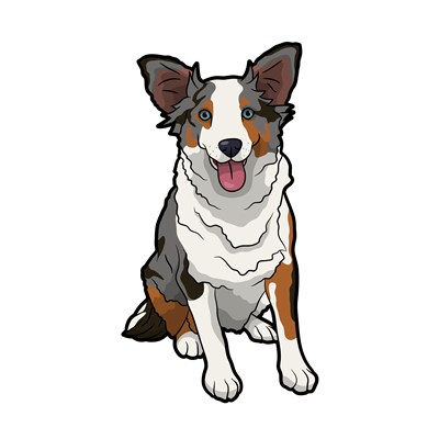 Australian Shepherd Sticker