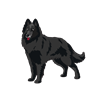 Black Long Haired Shepherd Sticker