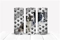 Border Collie 20 OZ Double Walled Tumbler