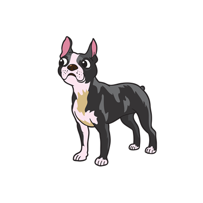 Boston Terrier Sticker