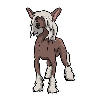 Chinese Crested Sticker