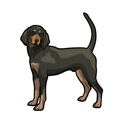 Coonhound Sticker