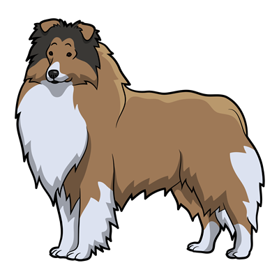 Collie Sticker