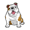 English Bulldog Sticker