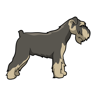 Miniature Schnauzer Sticker