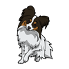 Papillon Sticker