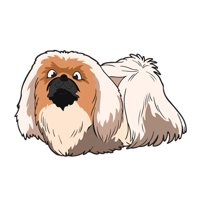 Pekingese Sticker