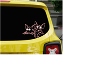 Pigs Wearing Sunglasses Decal