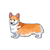 Pembroke Welsh Corgi Sticker