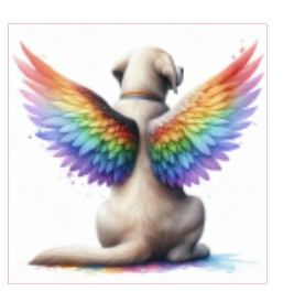 Rainbow Bridge Dog Angel Sticker